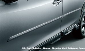 Side Body Moulding